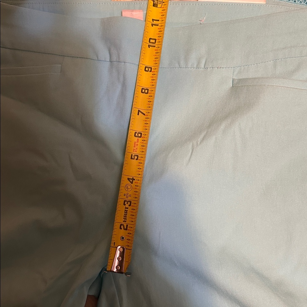 NWT Chico's Brigitte Slim Leg Aqua Trousers with Embroidered Detail Chicos sz 1 - Picture 7 of 10
